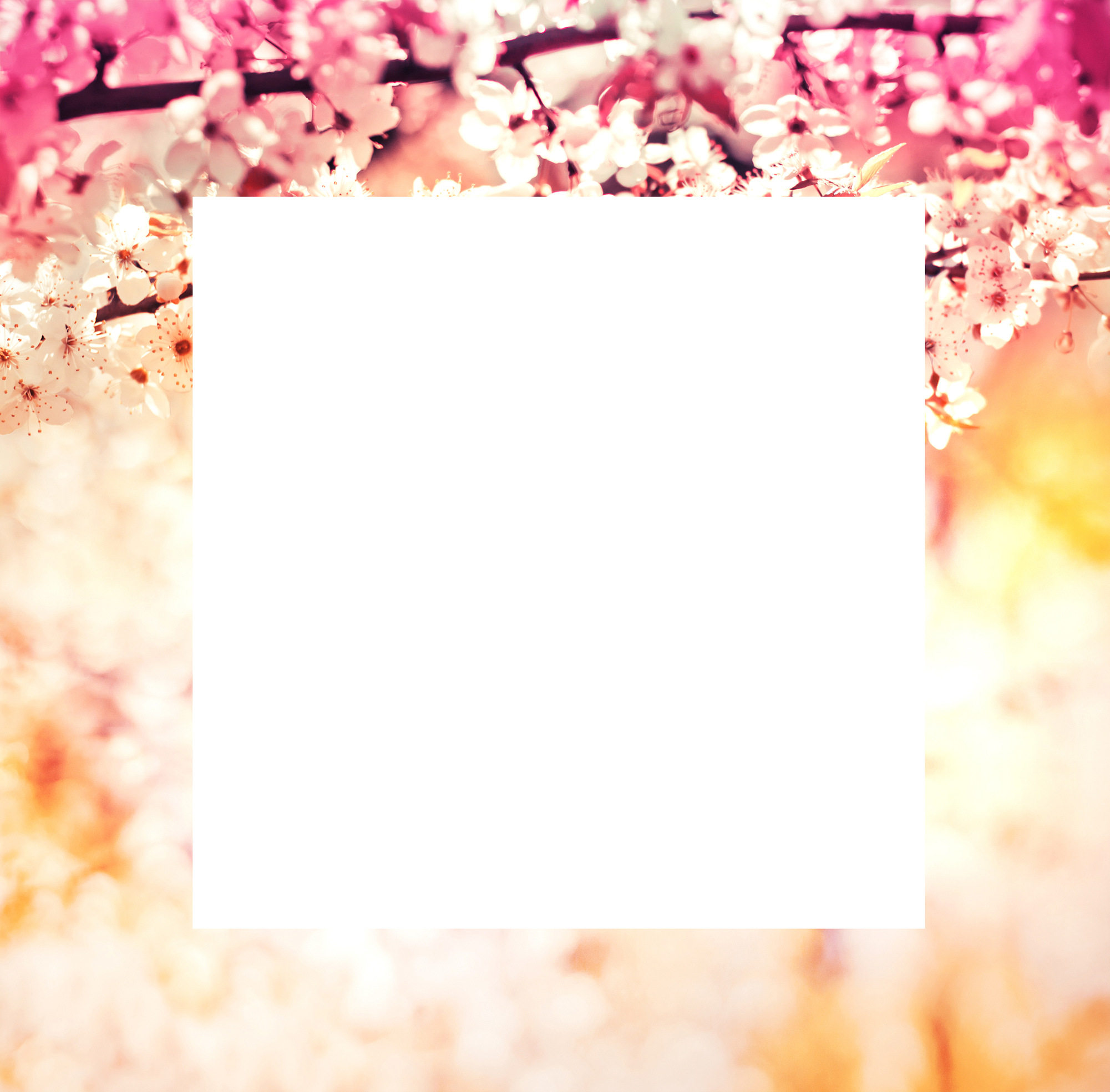 Decoframe Frühling - Blüten rosa/orange
