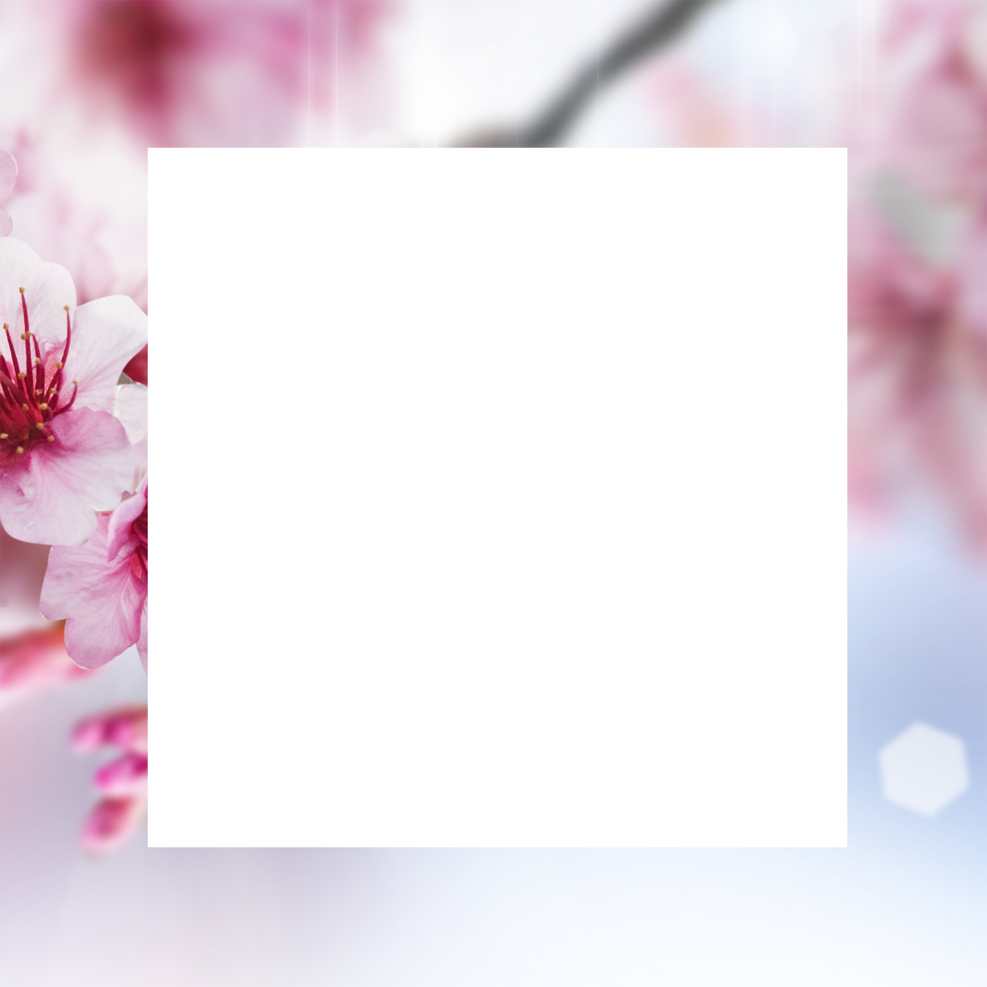 Decoframe Sommer - Kirschblüten